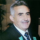 Prof. Abd Elrahman Zekry