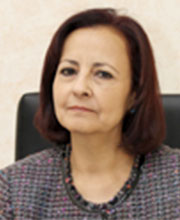 Prof. Soad Kamel Rizk