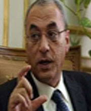 Prof. Adel Zayed 