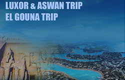Trips to Luxor & Aswan and El Gouna 