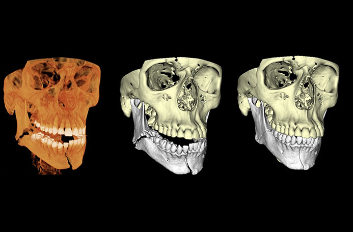  Digital Dentistry