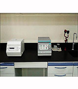 Microbiology Lab